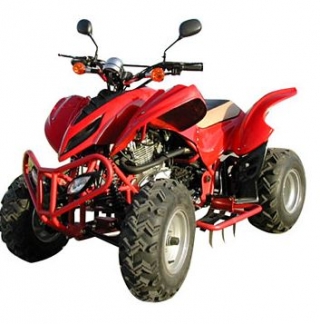 Cuatrimoto WinterScoot